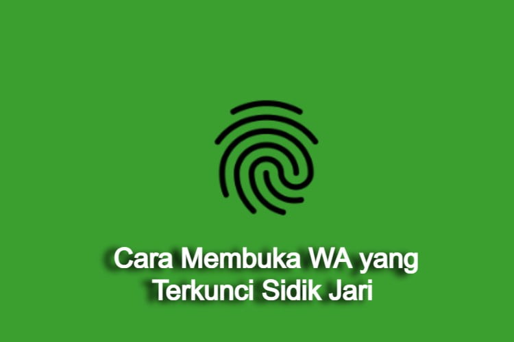 Cara Membuka WA yang Terkunci Sidik Jari