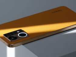 Cara Menggunakan Kamera Mikroskop OPPO Reno7, Dapat Merekam Objek Terkecil!