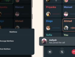 Pembaruan WhatsApp Fitur Privasi & Opsi Bisu Selama Panggilan Grup
