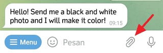 Cara Ubah Foto Hitam Putih Menjadi Berwarna di Telegram