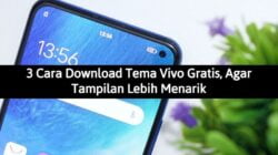 Download Tema Vivo Gratis